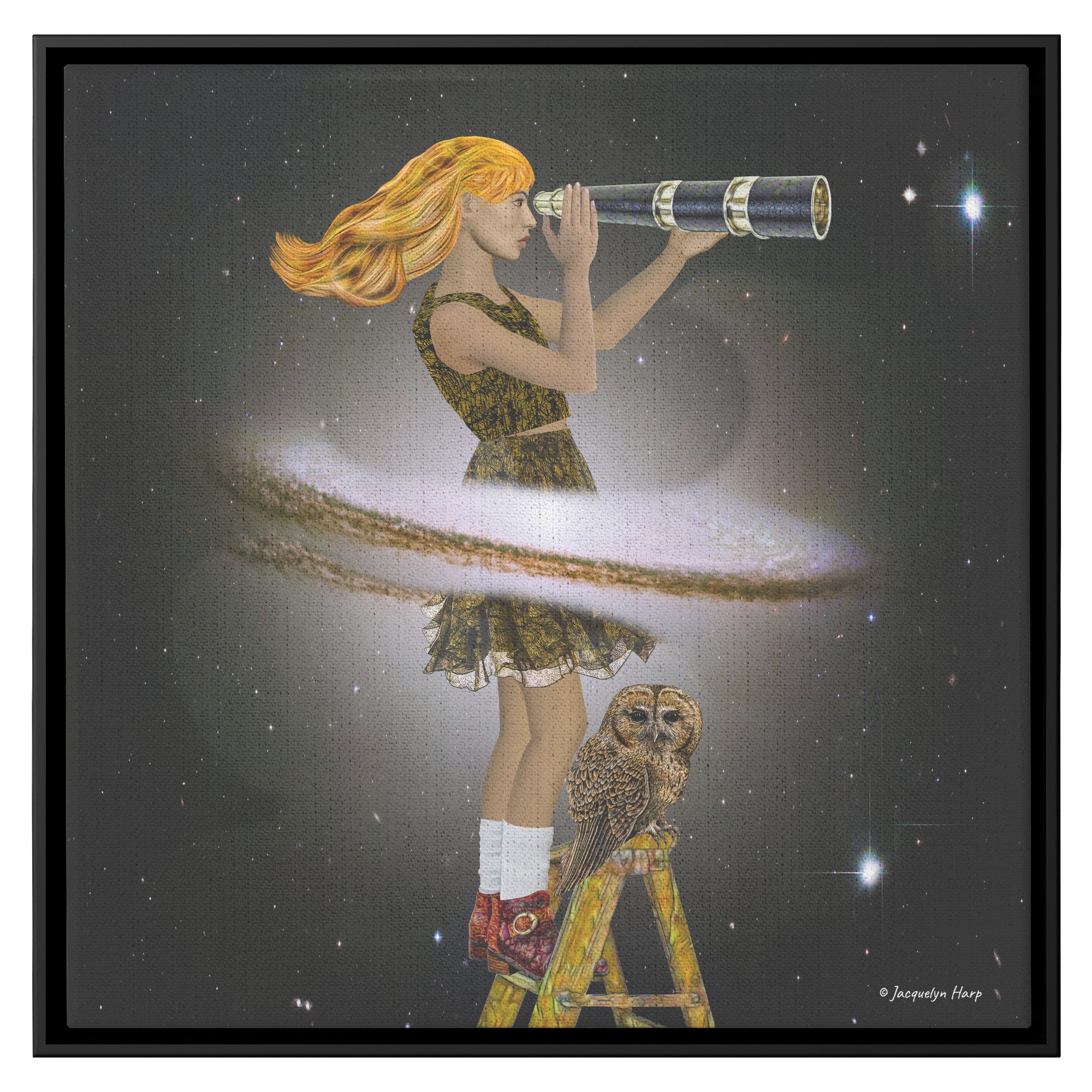 Stargazer - Framed Art