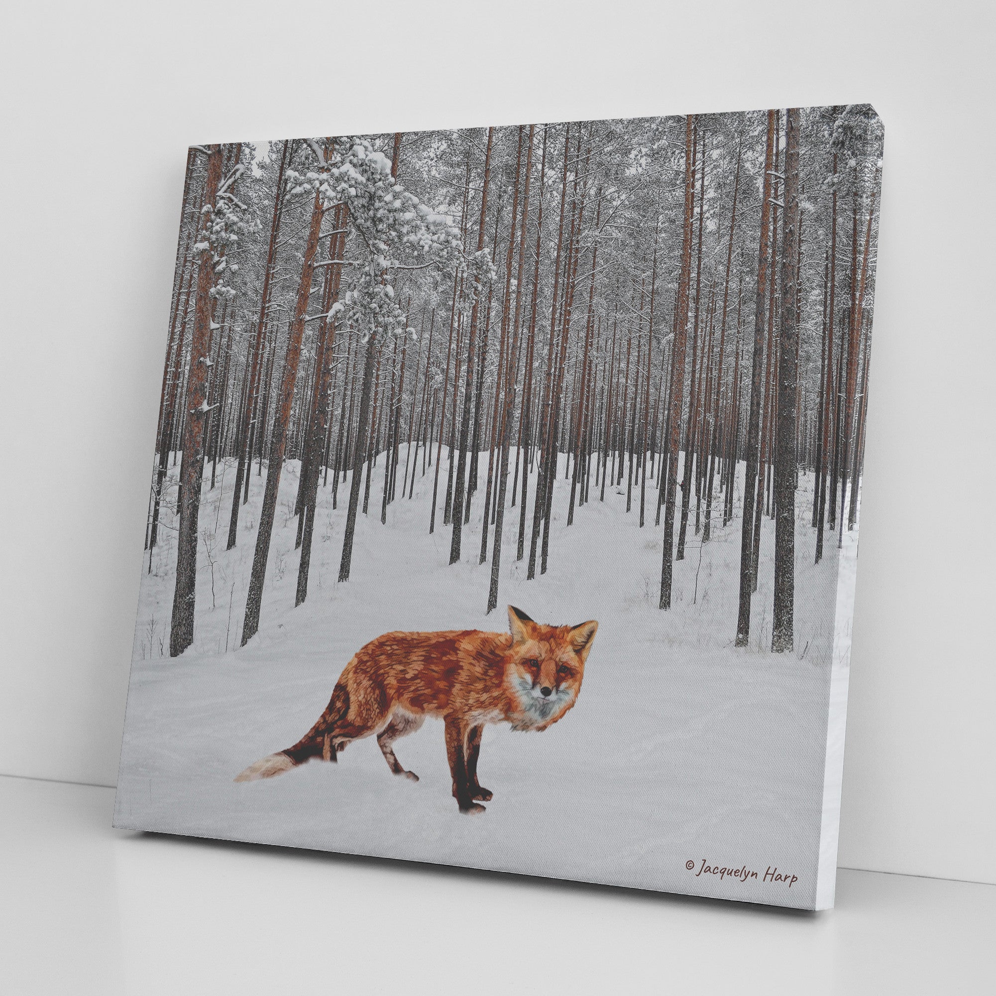 Snow Fox - Canvas Art