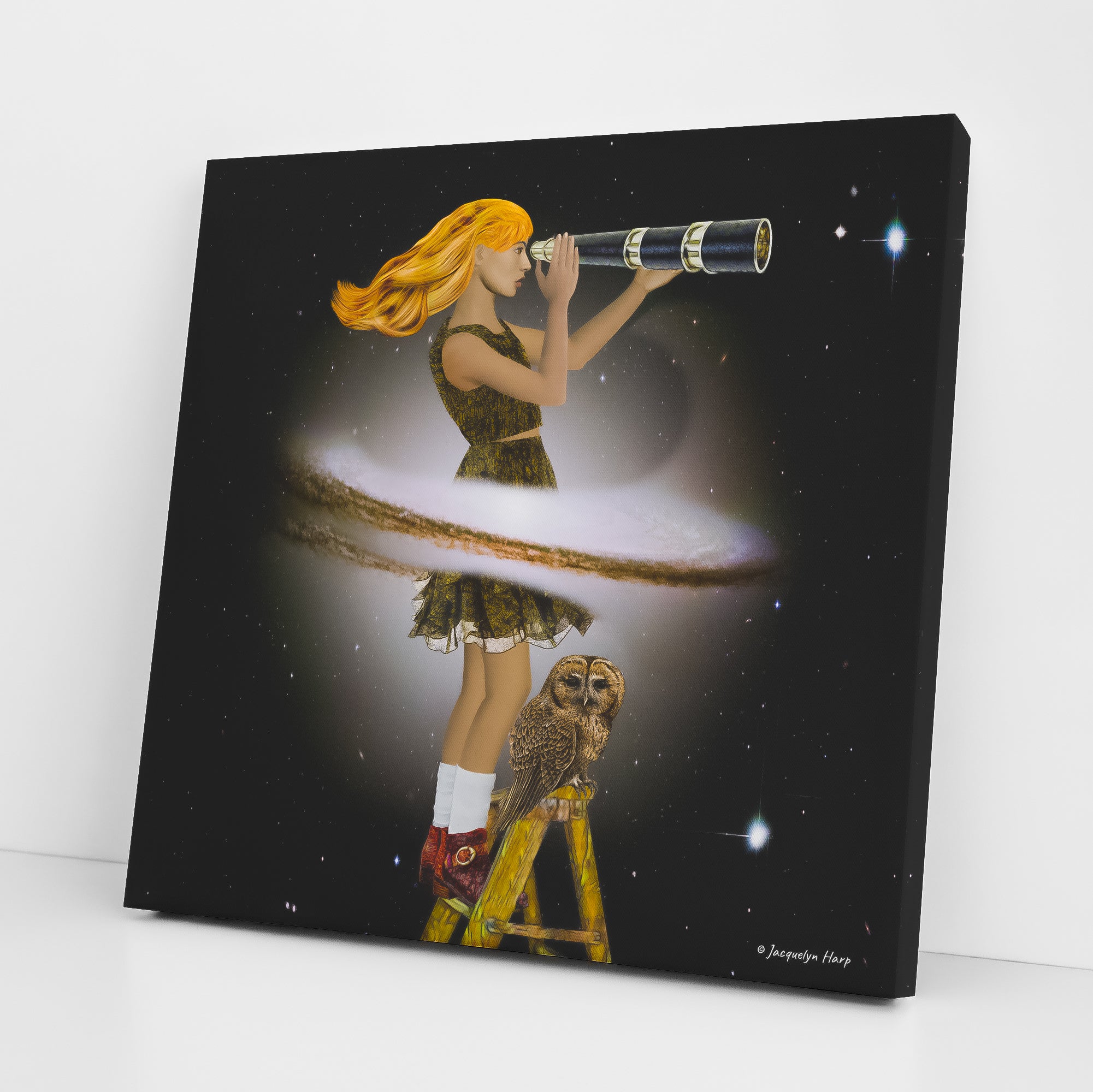 Stargazer - Canvas Art