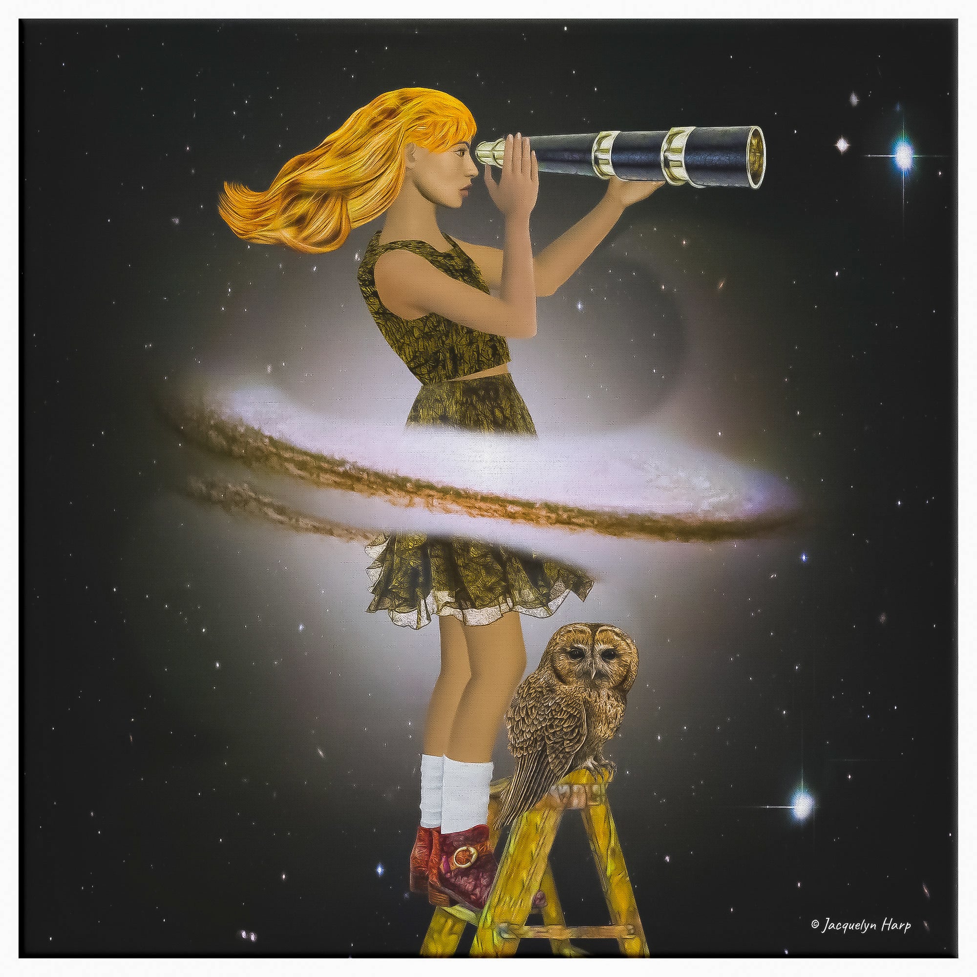 Stargazer - Canvas Art