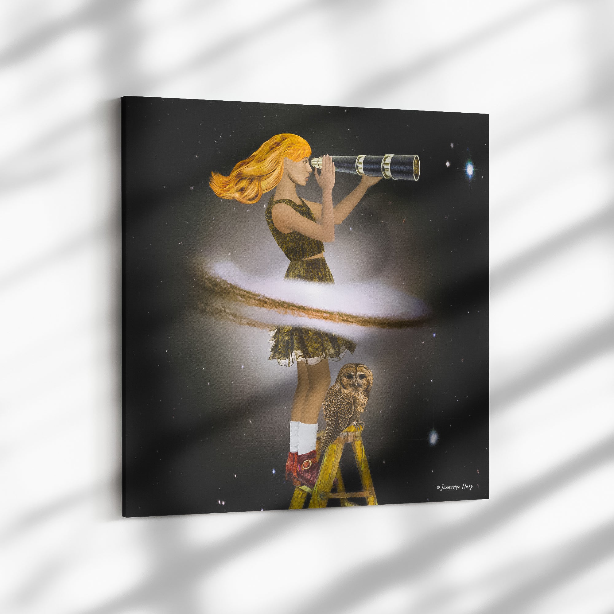 Stargazer - Canvas Art