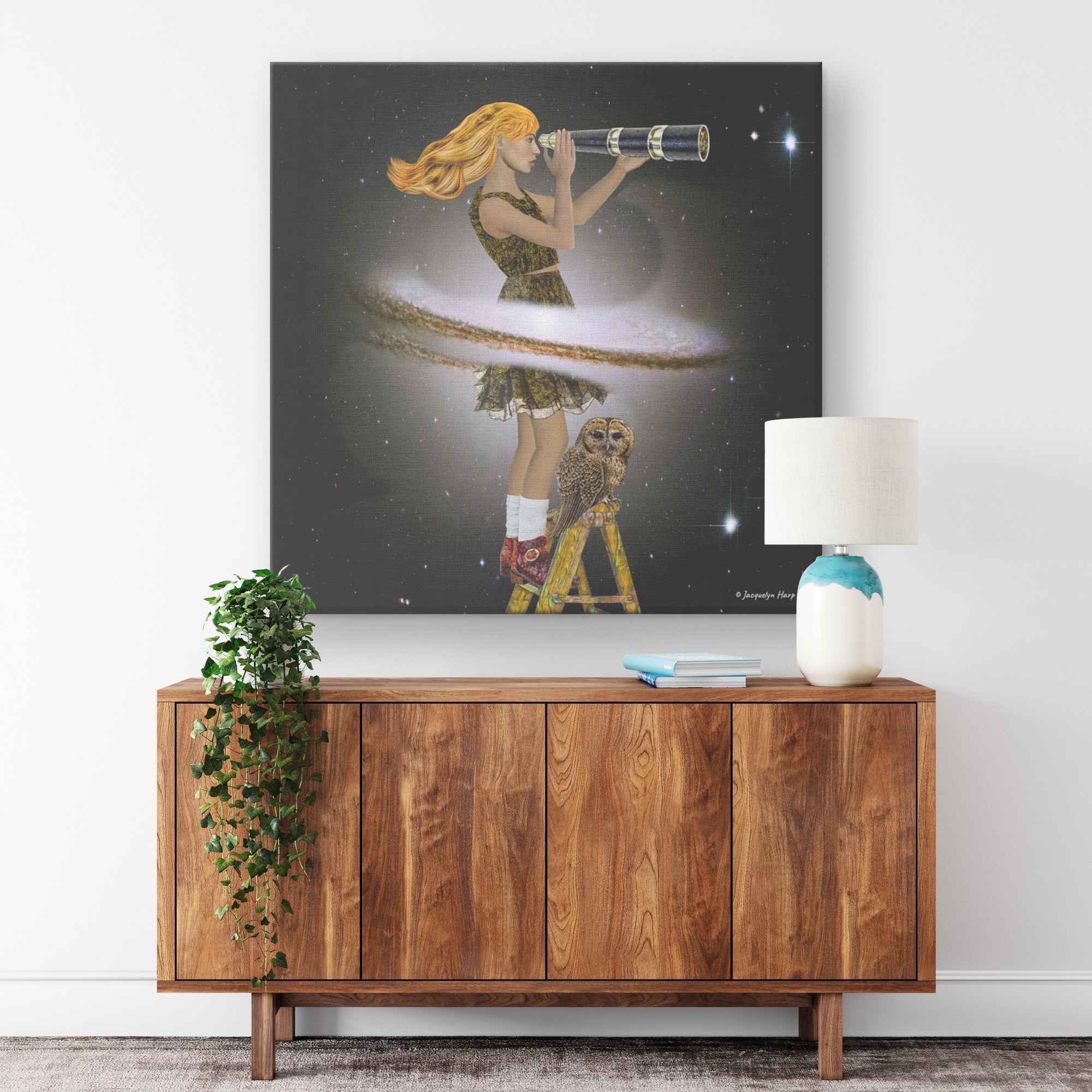 Stargazer - Canvas Art