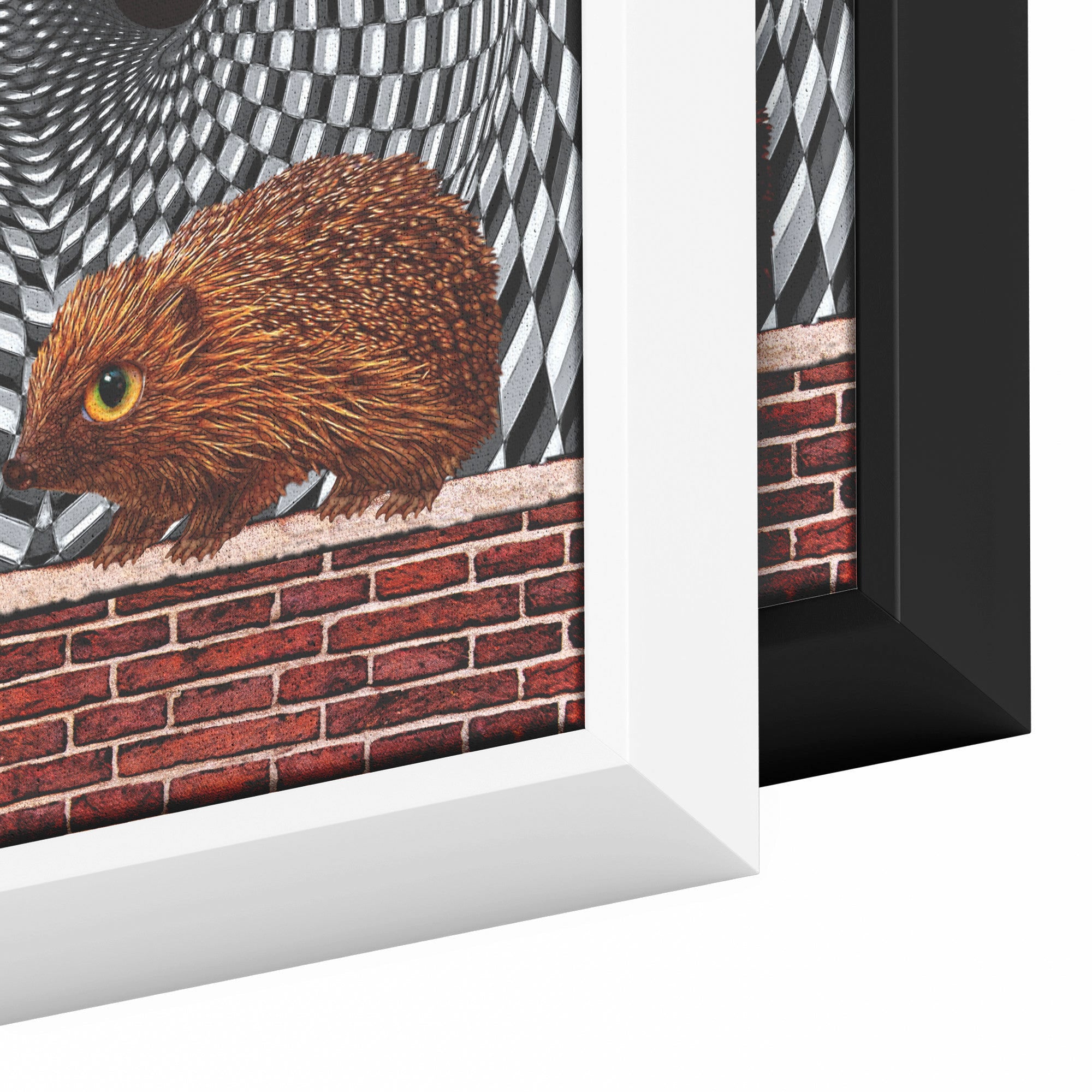 The Hedgehog And The Flamingo - Framed Art